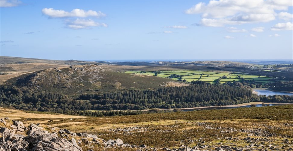 Dartmoor landscape